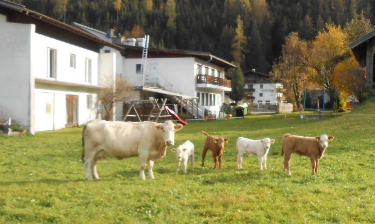 Ferienhaus Dankl Hollersbach im Pinzgau Εξωτερικό φωτογραφία